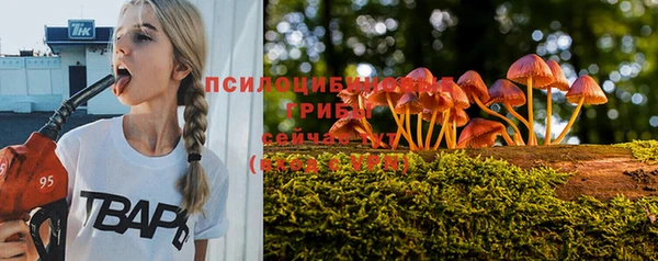 сатива Санкт-Петербург
