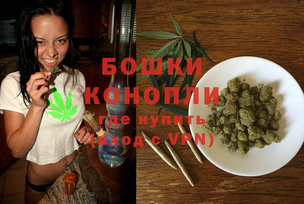 PSILOCYBIN Бикин