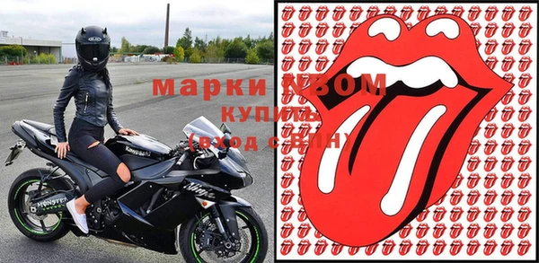 ПСИЛОЦИБИНОВЫЕ ГРИБЫ Новосибирск
