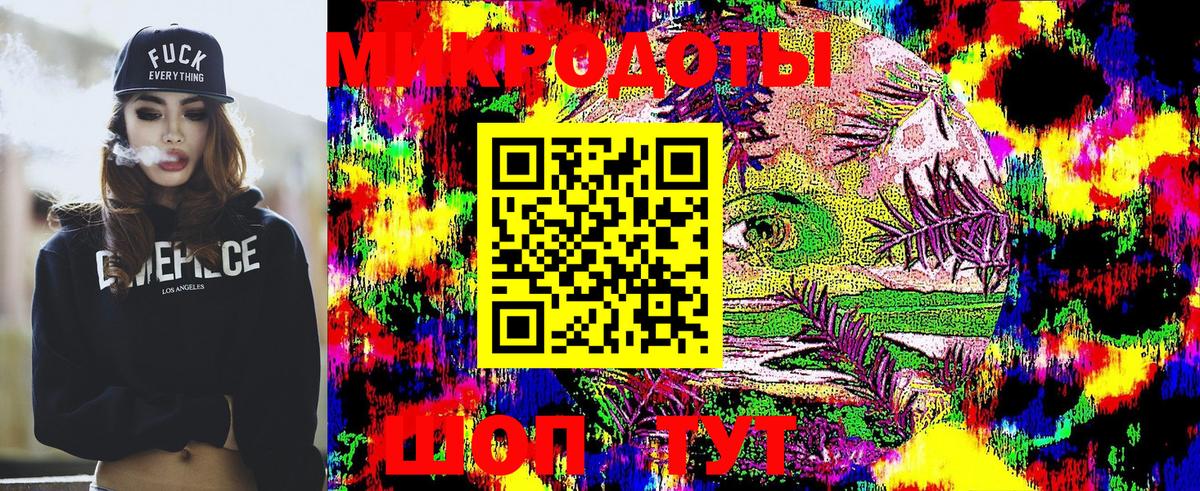 Псилоцибиновые грибы мицелий  Ставрополь 