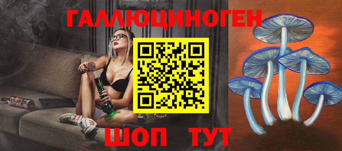 Ставрополь  Псилоцибиновые грибы GOLDEN TEACHER  Вход с VPN 