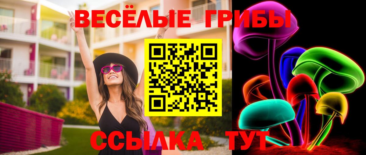 Псилоцибиновые грибы GOLDEN TEACHER Ставрополь